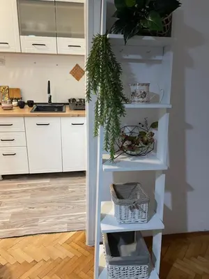 a kitchen with white shelves with plants on them at OLI apartman in Niš