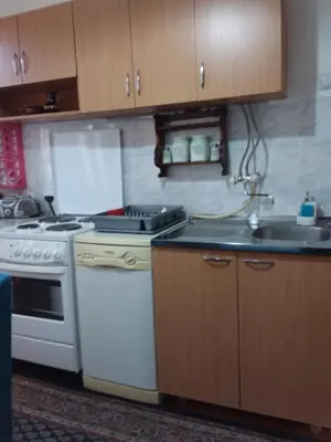 a kitchen with a stove and a sink at Ikaria in Niš