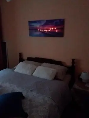a bed in a bedroom with a painting on the wall at Ikaria in Niš
