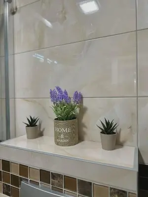 two plants sitting on a shelf in a bathroom at N Apartment in Vrnjačka Banja
