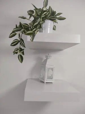 a potted plant sitting on top of a shelf at GALEB in Vrnjačka Banja
