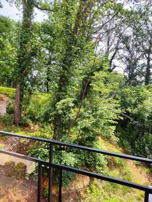 a view of a forest from a balcony at GALEB in Vrnjačka Banja