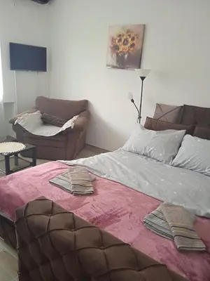 a bed in a living room with a couch and a bed sidx sidx at MAL Apartman in Soko Banja