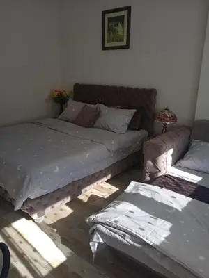 two beds sitting next to each other in a room at MAL Apartman in Soko Banja