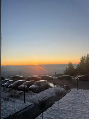 a row of plants covered in snow at sunset at M&Alux Kopaonik in Cajetina