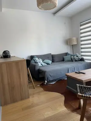 a living room with a blue couch and a table at Anja Sousza Apartment in Kopaonik