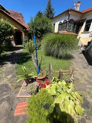 a garden with plants and flowers in a yard at Garičkina kuća 2 in Pirot