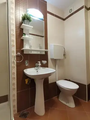 a bathroom with a sink and a toilet at B&P apartman Vrnjačka Banja in Vrnjačka Banja