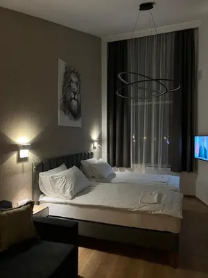 a bedroom with a bed with a lion on the window at Triangle Rooms in Raška