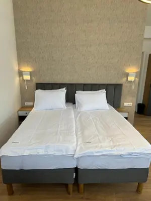 a bed in a room with two white pillows at Triangle Rooms in Raška