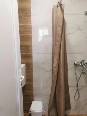 a bathroom with a toilet and a shower curtain at Apartman Aleksandar 2 in Ribarska Banja