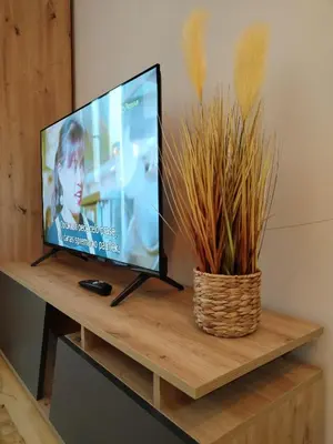 a flat screen tv on a wooden table with a plant at Studio Iris 1 in Niš