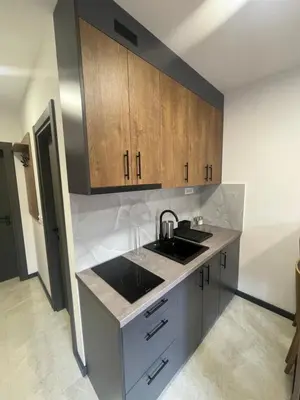 a kitchen with a sink and wooden cabinets at Jutarnja Zvezda Kop in Kopaonik
