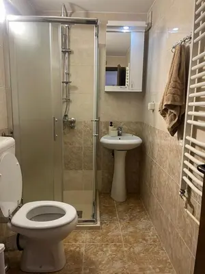 a bathroom with a shower and a toilet and a sink at Art Studio in Niš
