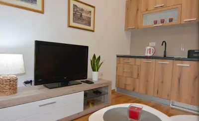a living room with a flat screen tv on a counter at Studio apartman Sara in Vrnjačka Banja