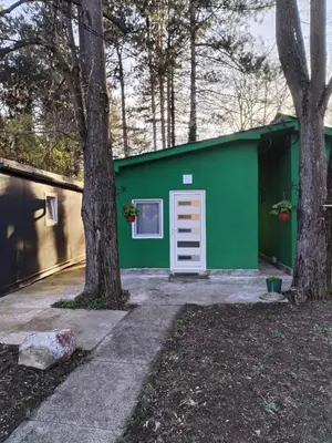 a green building with a white door and trees at Vikendica Aki in Zaječar
