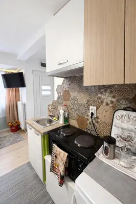 a small kitchen with a stove and a sink at Nilton 2 Apartmans in Niš