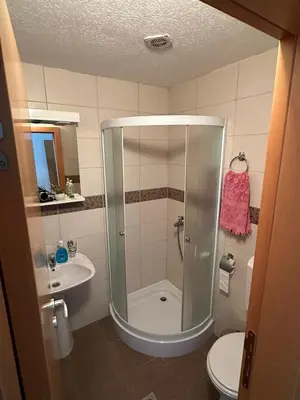 a bathroom with a shower and a toilet and a sink at Apartmani Ušće in Trstenik