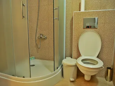 a small bathroom with a toilet and a shower at Guesthouse Đokić in Leskovac