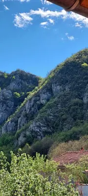 a view of a mountain with trees and a house at Golemi kamik Pirot Vlasi 4 in Pirot