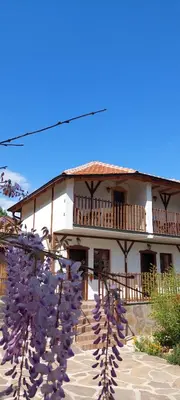 a house with purple flowers in front of it at Golemi kamik Pirot Vlasi 2 in Pirot