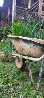 an old rusty wheelbarrow sitting in a garden at Golemi kamik Pirot Vlasi 2 in Pirot