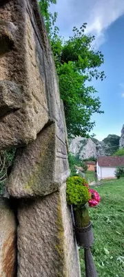 a stone wall with a flower pot and flowers at Golemi kamik Pirot Vlasi 2 in Pirot