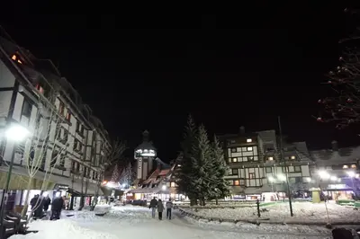 a group of people standing in the snow at night at Apartments Suncani Vrhovi Kopaonik in Kopaonik