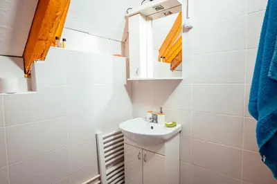 a bathroom with a sink and a mirror at STD Stara Vodenica in Crni Vrh