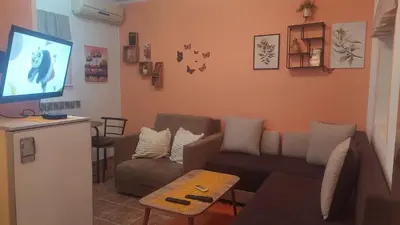 a living room with a couch and a flat screen tv at Mrvica in Vrnjačka Banja