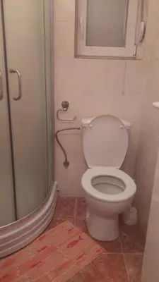 a bathroom with a toilet and a shower at Mrvica in Vrnjačka Banja