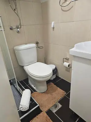 a bathroom with a toilet and a sink at Apartman Čar11 in Kopaonik