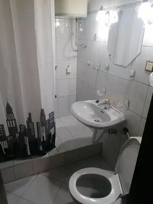 a bathroom with a toilet and a sink at Etno-urban stan na dan in Paraćin
