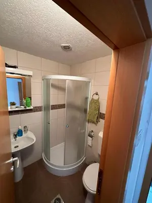 a bathroom with a shower and a toilet and a sink at Aparmani Ušće in Trstenik