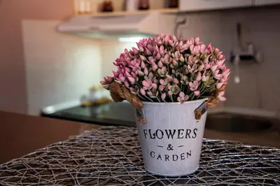 a bucket filled with pink flowers and gardening written on it at Apartman Lara in Kuršumlija