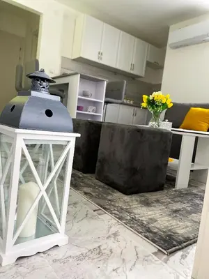 a kitchen with a grill in the middle of a room at Apartman Amaris in Vrnjačka Banja