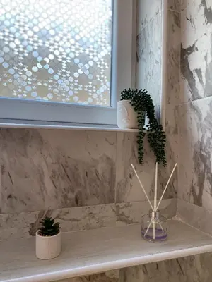 a shelf with two potted plants and a window at Apartman Amaris in Vrnjačka Banja