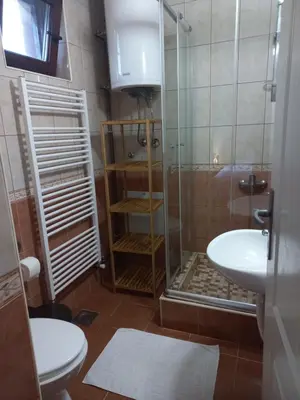 a bathroom with a shower and a toilet and a sink at B&B Vila Babin zub in Balta Berilovac