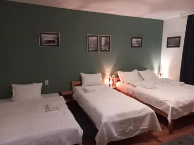 two beds in a room with green walls at B&B Vila Babin zub in Balta Berilovac