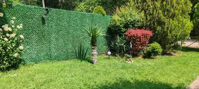 a garden with a palm tree next to a fence at Sicevacka Bajka in Niš