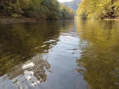 a view of a river with trees in the background at Sicevacka Bajka in Niš