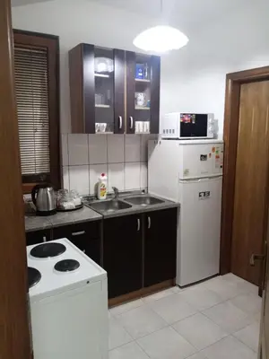 a kitchen with a white refrigerator and a sink at Apartman Mladenovic Center, free parking&wifi in Vranje