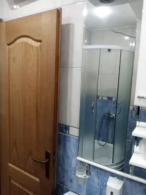 a bathroom with a wooden door and a mirror at Apartman Mladenovic Center, free parking&wifi in Vranje