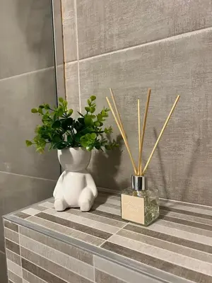a table with a vase and a plant on it at Milka apartman Sokobanja in Soko Banja