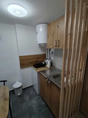 a small kitchen with wooden cabinets and a sink at AGAPE in Leskovac