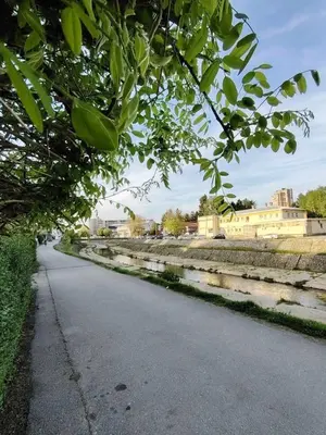 a road next to a river with buildings and trees at AGAPE in Leskovac