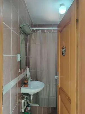 a bathroom with a sink and a shower at Passage in Paraćin