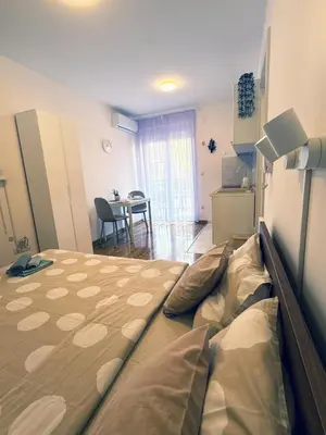a bedroom with a large bed in a room at Studio GAGI in Vrnjačka Banja