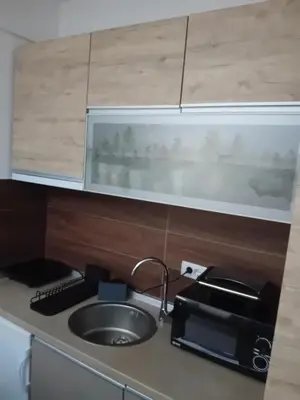 a kitchen counter with a sink and a microwave at Studio Ristic Milmari L5 in Kopaonik