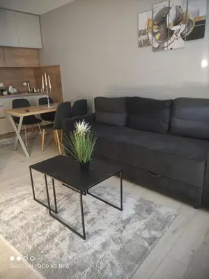 a living room with a black couch and a table at Central Lux ( U CENTRU GRADA, 30m od SPA centra) in Soko Banja